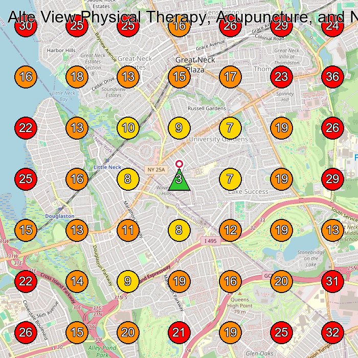 Alte View Physical Therapy, Acupuncture, and Nutrition, PLLC GeoGrid visibility map for Physical Therapy Clinic in Manhasset